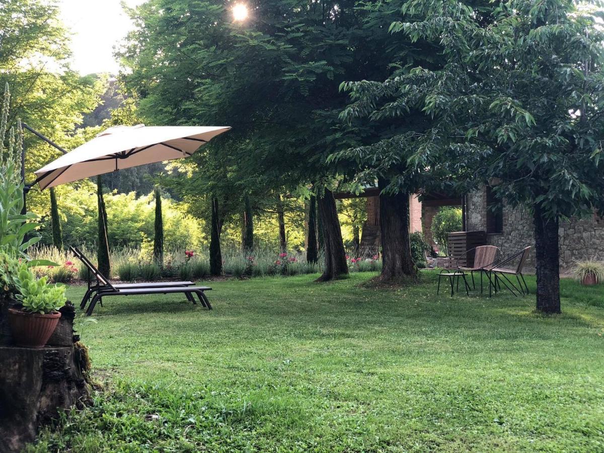 Mulino In Chianti Apartment Джайоле ин Кианти Екстериор снимка