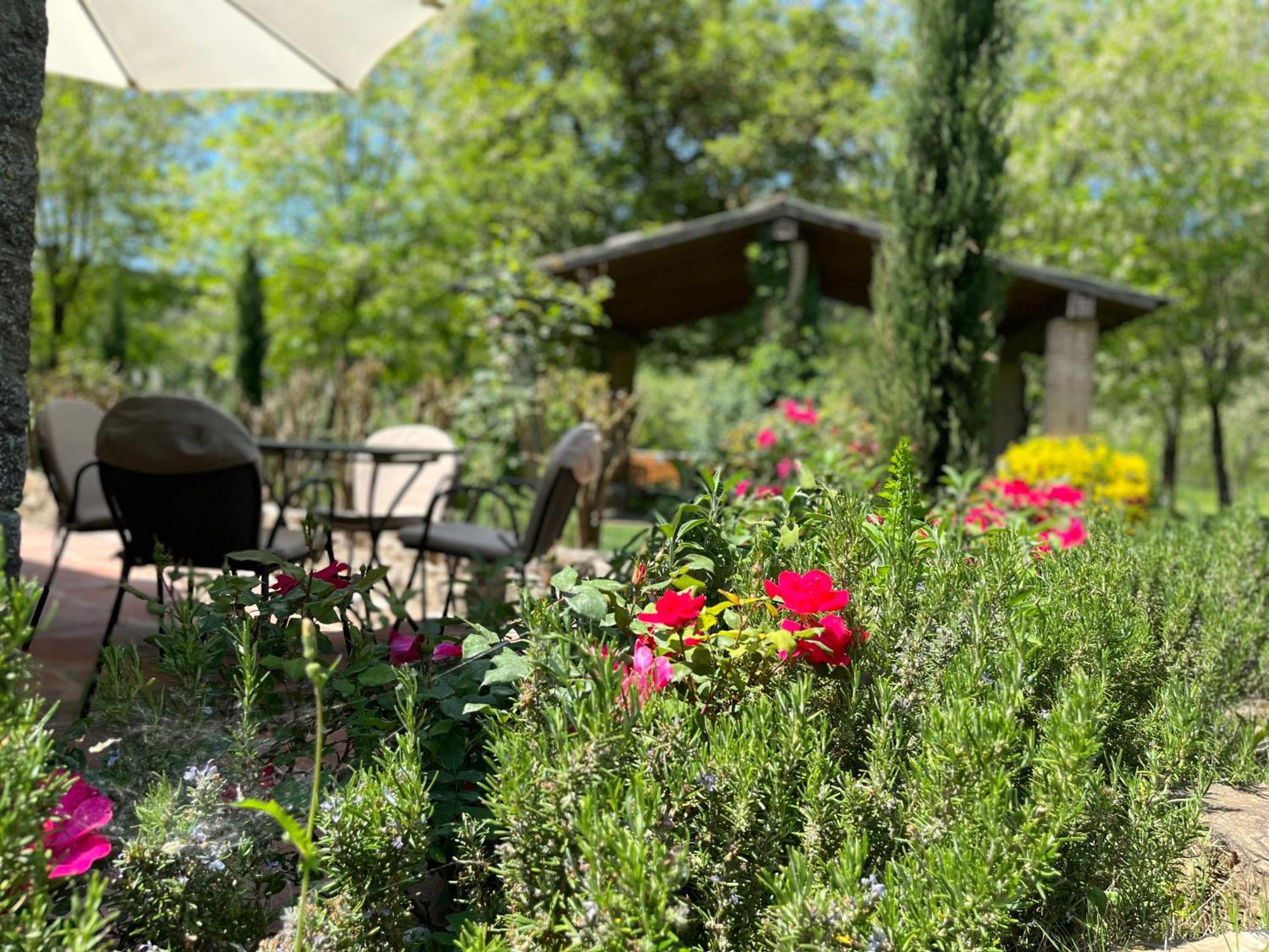 Mulino In Chianti Apartment Джайоле ин Кианти Екстериор снимка
